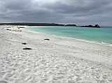 Galapagos 3-2-05 Espanola Gardner Bay Beach Here is a view of the sweeping beach at Gardner Bay, where the turquoise colored water makes a beautiful contrast to the white sand that consists of shell dust.